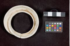 Foto (unten) von Ring 1 (NHMW-ZOO-MO-0081100-ETH-140)